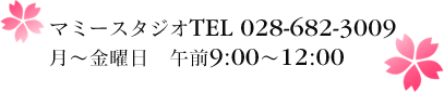 月〜金曜日　午前９時〜１２時